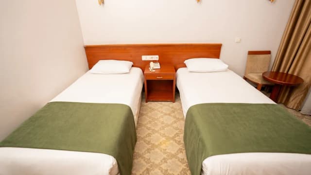 Golden Siyav Hotel-Standard Double Room, 1 Bedroom-8