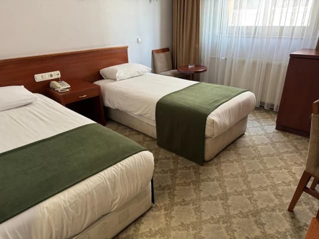 Golden Siyav Hotel-Standard Double Room, 1 Bedroom-7