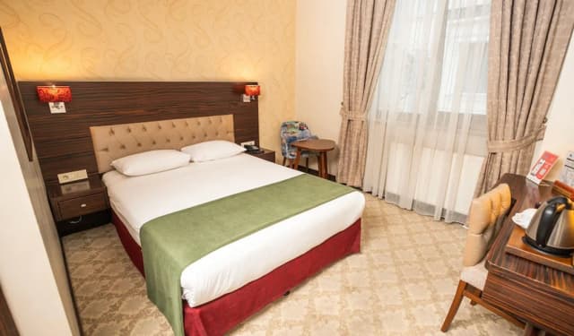 Golden Siyav Hotel-Executive Double Room, 1 Double Bed-1