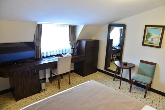 Golden Siyav Hotel-Executive Double Room, 1 Double Bed-10