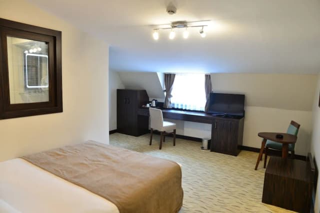 Golden Siyav Hotel-Executive Double Room, 1 Double Bed-4