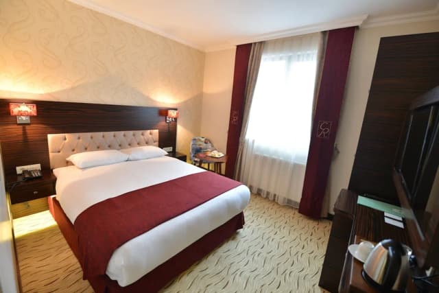 Golden Siyav Hotel-Executive Double Room, 1 Double Bed-3