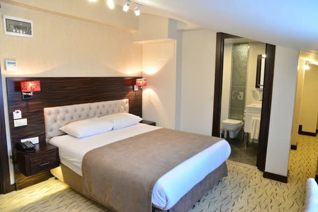 Golden Siyav Hotel-Executive Double Room, 1 Double Bed-5