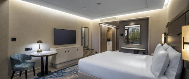 伊斯坦堡博斯普魯斯希爾頓飯店-King Executive Room - City View-4
