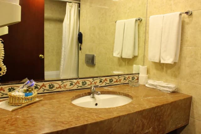 톱카피 인터 이스탄불 호텔-스탠다드 더블룸-27