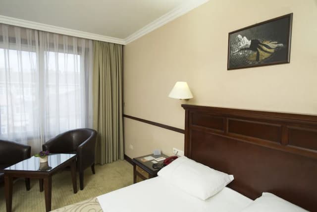 톱카피 인터 이스탄불 호텔-스탠다드 더블룸-13