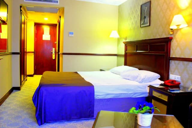 톱카피 인터 이스탄불 호텔-스탠다드 더블룸-4