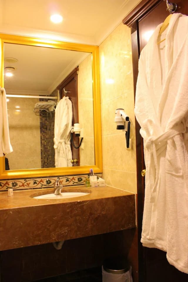 톱카피 인터 이스탄불 호텔-스탠다드 싱글룸-25