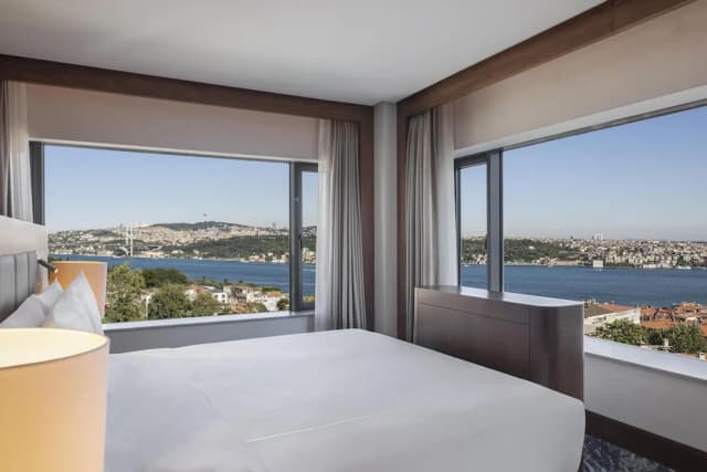 Conrad Istanbul Bosphorus-套房, 1 张特大床 (Bosphorus)-6