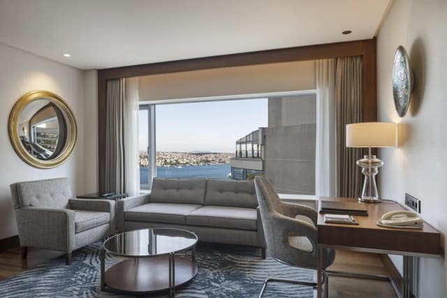 Conrad Istanbul Bosphorus-套房, 1 张特大床 (Bosphorus)-9