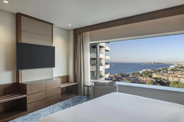 Conrad Istanbul Bosphorus-套房, 1 张特大床 (Bosphorus)-5