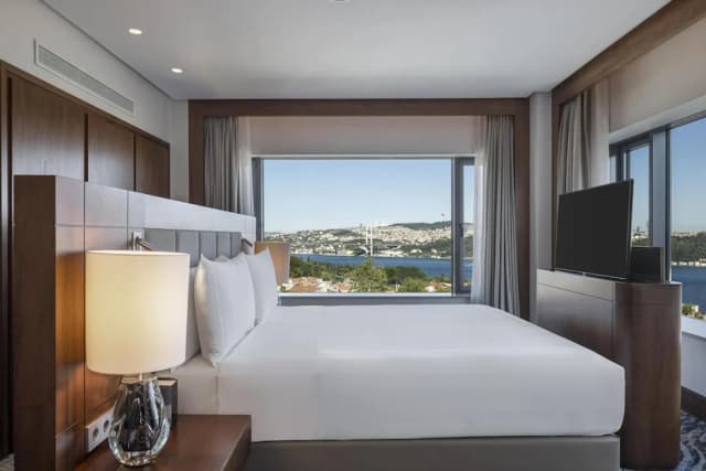 Conrad Istanbul Bosphorus-套房, 1 张特大床 (Bosphorus)-4