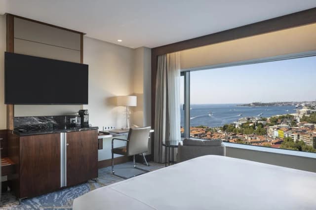 Conrad Istanbul Bosphorus-套房, 1 张特大床 (Bosphorus)-18