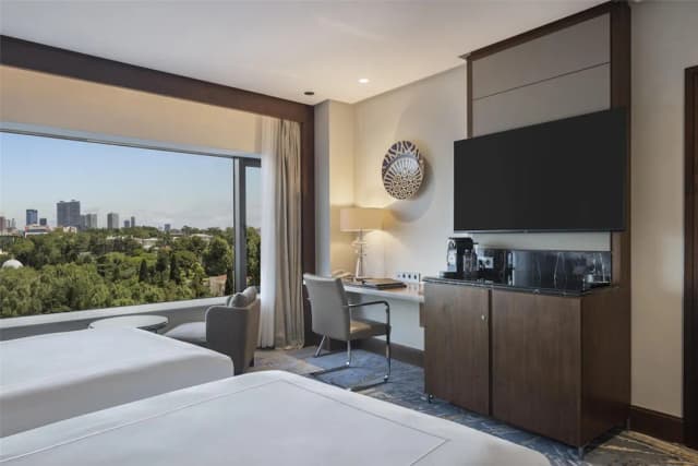 Conrad Istanbul Bosphorus-行政客房, 2 张单人床 (Bosphorus)-6