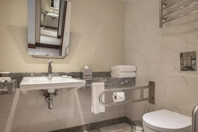 Conrad Istanbul Bosphorus-客房, 1 张特大床-6