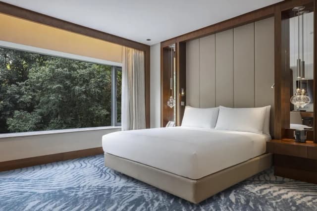 Conrad Istanbul Bosphorus-客房, 1 张特大床-2