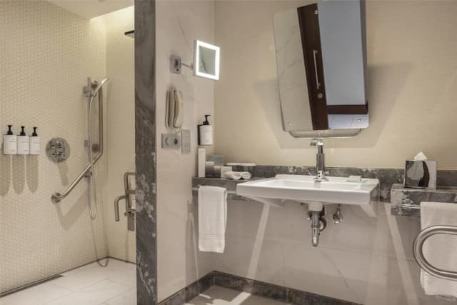 Conrad Istanbul Bosphorus-客房, 1 张特大床-5