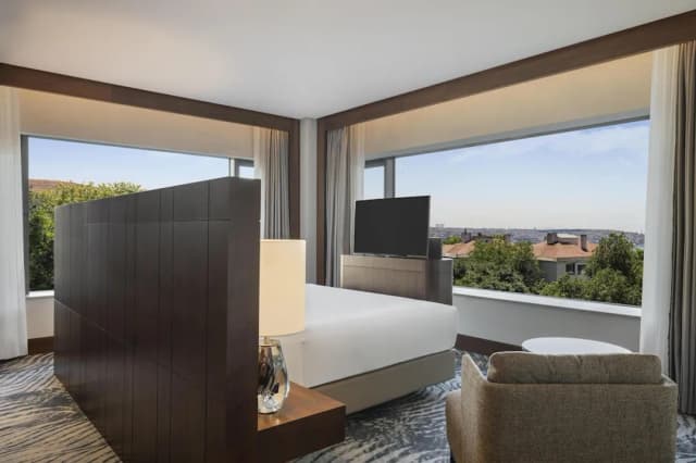 Conrad Istanbul Bosphorus-家庭套房, 城市景观-6