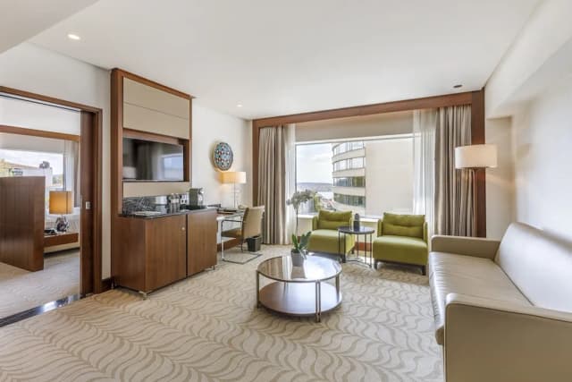 Conrad Istanbul Bosphorus-家庭套房, 城市景观-4