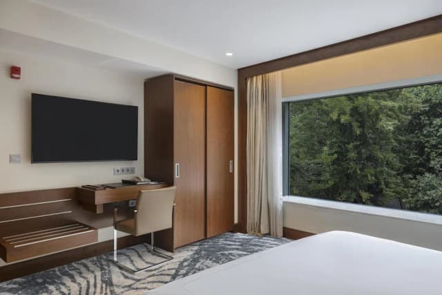 Conrad Istanbul Bosphorus-华丽客房, 1 张特大床-6