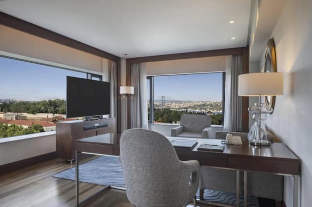 Conrad Istanbul Bosphorus-华丽套房, 1 张特大床 (Deluxe Bosphorus)-9