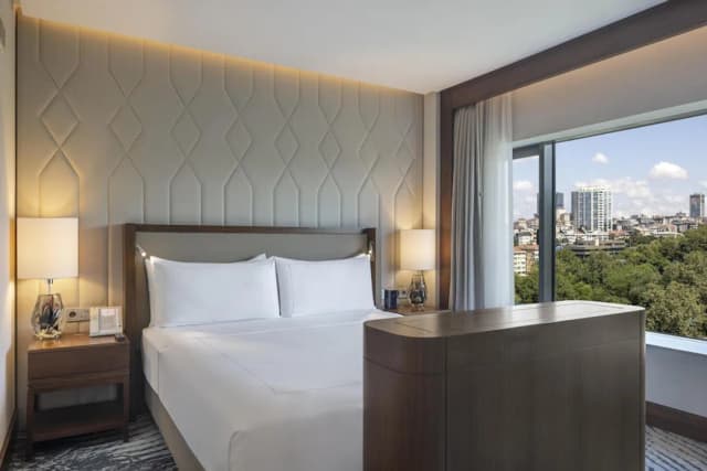 Conrad Istanbul Bosphorus-华丽套房, 1 张特大床 (Deluxe Bosphorus)-1