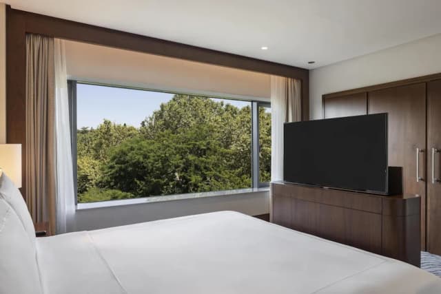 Conrad Istanbul Bosphorus-套房, 1 张特大床 (Park)-7
