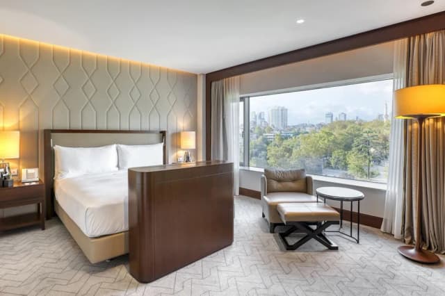 Conrad Istanbul Bosphorus-套房, 1 张特大床 (Park)-2
