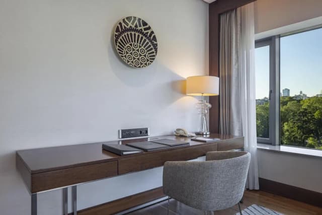 Conrad Istanbul Bosphorus-套房, 1 张特大床 (Park)-8