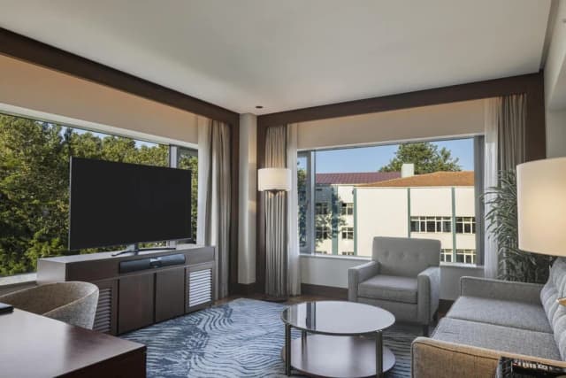 Conrad Istanbul Bosphorus-套房, 1 张特大床 (Park)-10