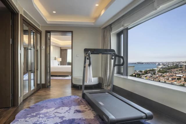Conrad Istanbul Bosphorus-总统套房, 1 张特大床-6