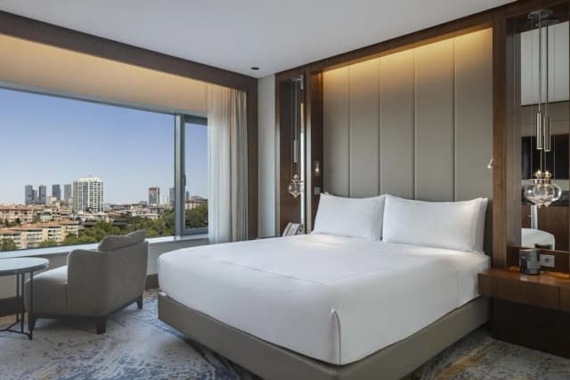 Conrad Istanbul Bosphorus-华丽客房, 1 张特大床-4