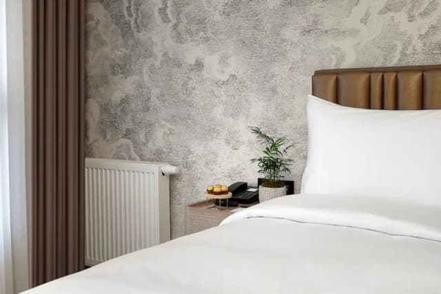 伊斯坦堡萬達文華酒店-Premium One Bedroom-7