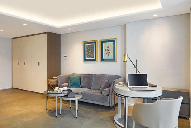 伊斯坦堡萬達文華酒店-Premium Room-4