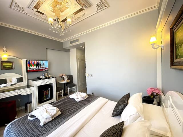 Gulhanepark Hotel & Spa-Superior Single Room, 1 Double Bed, Balcony, City View-1