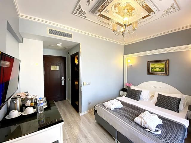 Gulhanepark Hotel & Spa-Superior Double or Twin Room, 1 Bedroom, City View-5