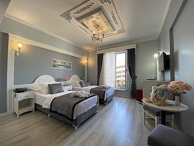 Gulhanepark Hotel & Spa-Superior Double or Twin Room, 1 Bedroom, City View-2