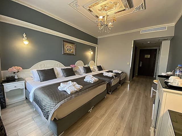 Gulhanepark Hotel & Spa-Superior Quadruple Room-2