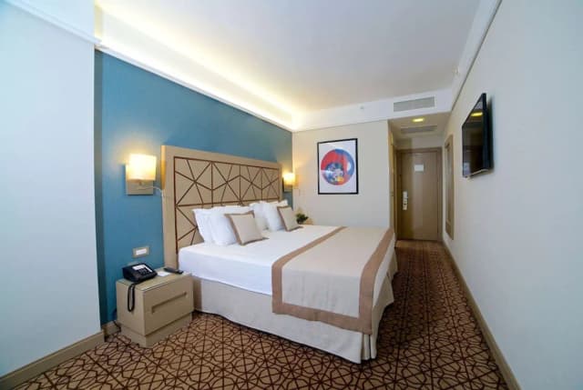 라마다 바이 윈덤 이스탄불 탁심-스탠다드룸, 킹사이즈침대 1개-4