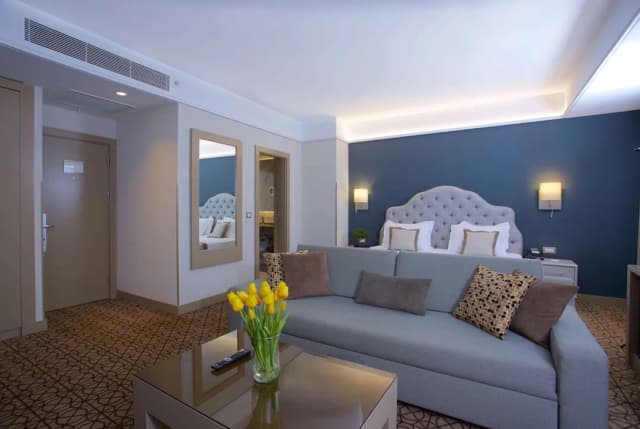 라마다 바이 윈덤 이스탄불 탁심-스위트, 킹사이즈침대 1개-9