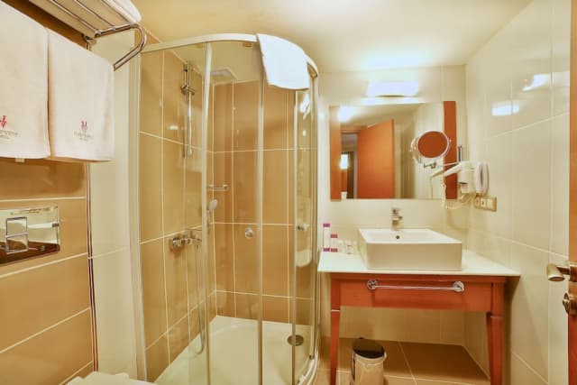 紫水晶飯店-標準雙人或雙床房, 1 張標準雙人床或 2 張單人床-3