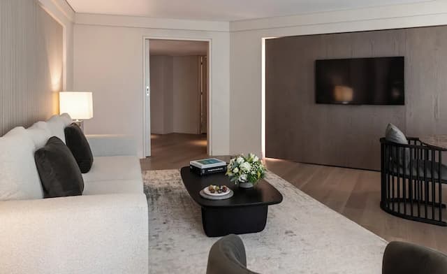 NJV アテネ プラザ ホテル-デラックス スイート シティビュー-10