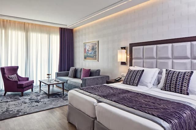 일렉트라 메트로폴리스 아테네-이그제큐티브룸-5