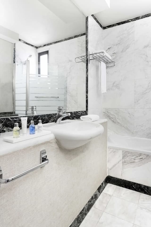 래디슨 블루 파크 호텔, 애신즈-프리미엄룸-8