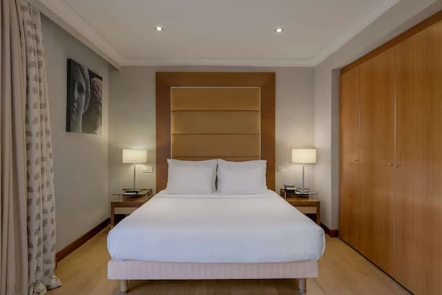 래디슨 블루 파크 호텔, 애신즈-프리미엄룸 (Acropolis View)-4