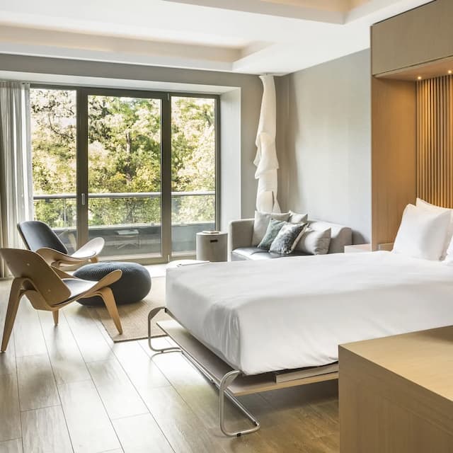 래디슨 블루 파크 호텔, 애신즈-스위트-2