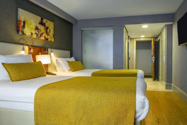 ラマダ バイ ウィンダム イスタンブール グラン バザール-2 Single Beds, Standard Room, Non-Smoking-2