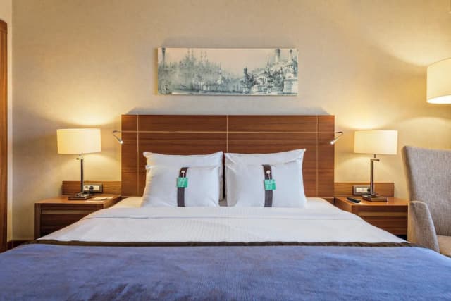 伊斯坦堡希斯里 Holiday Inn IHG 旗下酒店-標準客房-11