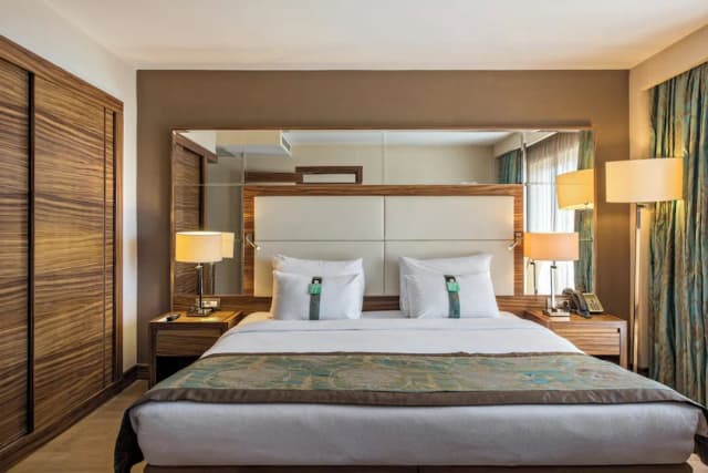 伊斯坦堡希斯里 Holiday Inn IHG 旗下酒店-標準客房-5
