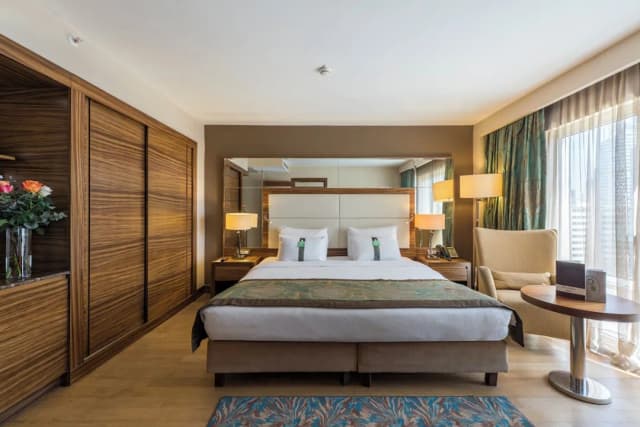伊斯坦堡希斯里 Holiday Inn IHG 旗下酒店-標準客房-9